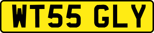 WT55GLY