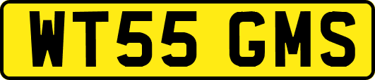 WT55GMS