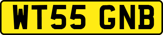 WT55GNB