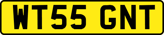 WT55GNT