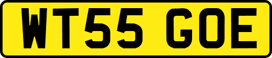 WT55GOE