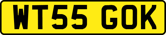 WT55GOK
