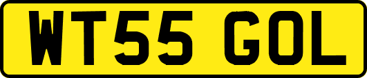 WT55GOL
