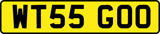 WT55GOO