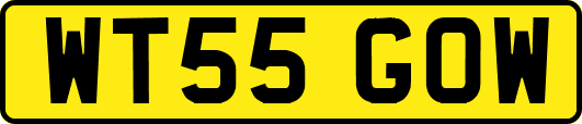 WT55GOW