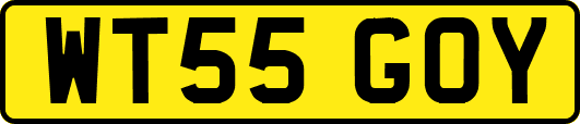 WT55GOY