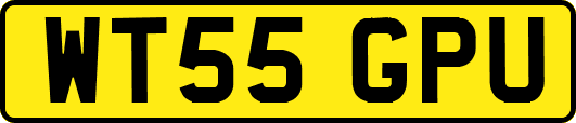 WT55GPU