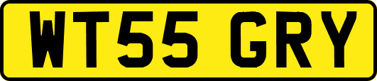 WT55GRY