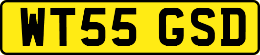 WT55GSD