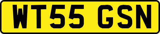WT55GSN