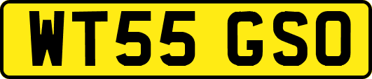 WT55GSO