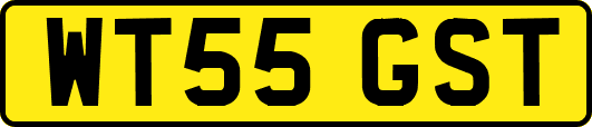 WT55GST
