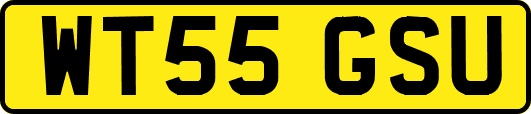 WT55GSU