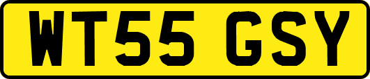 WT55GSY