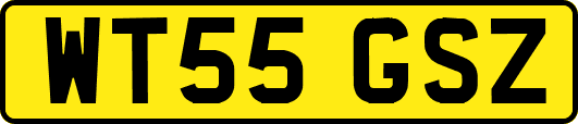 WT55GSZ