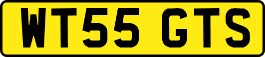 WT55GTS