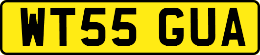 WT55GUA