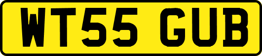 WT55GUB