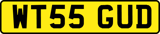 WT55GUD