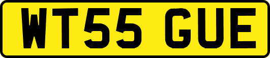 WT55GUE