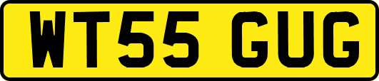 WT55GUG