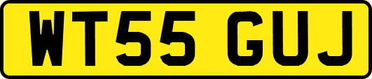 WT55GUJ