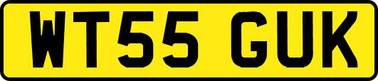 WT55GUK