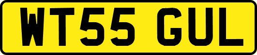WT55GUL