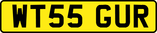 WT55GUR