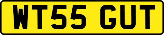 WT55GUT