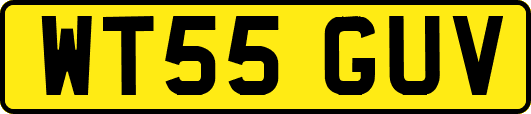 WT55GUV