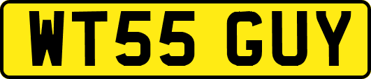 WT55GUY