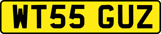 WT55GUZ