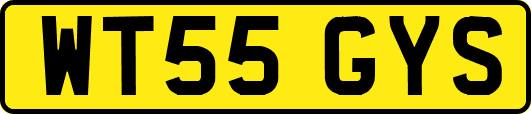 WT55GYS