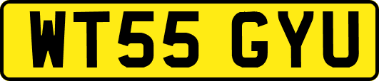 WT55GYU