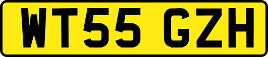 WT55GZH