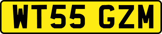 WT55GZM