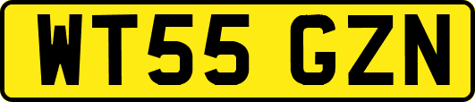 WT55GZN