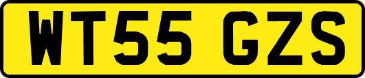 WT55GZS