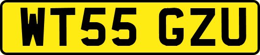 WT55GZU
