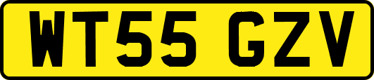 WT55GZV