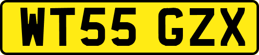WT55GZX