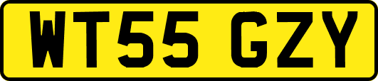 WT55GZY