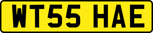 WT55HAE