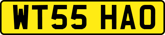 WT55HAO