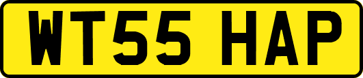 WT55HAP