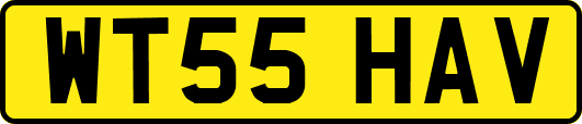 WT55HAV