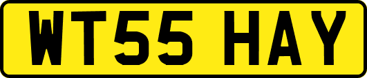 WT55HAY