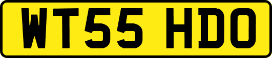 WT55HDO