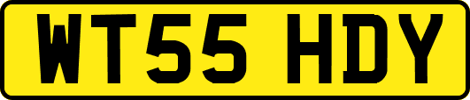 WT55HDY